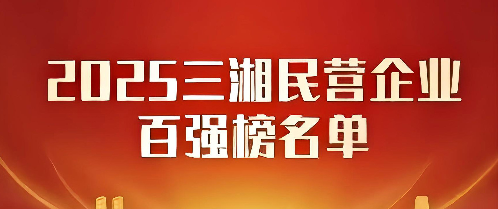 2025三湘民营企业百强榜发布，中伟集团位列第七