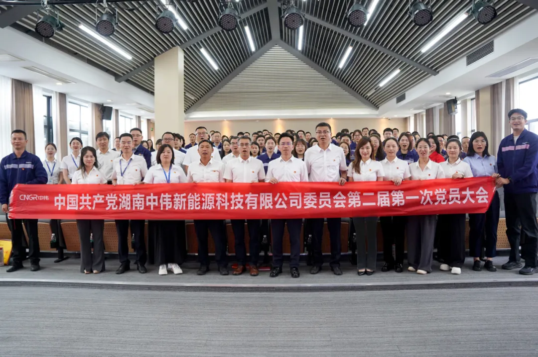 黨建引領(lǐng)中偉紅 | 湖南中偉新能源黨委獲評(píng)湖南省先進(jìn)基層黨組織