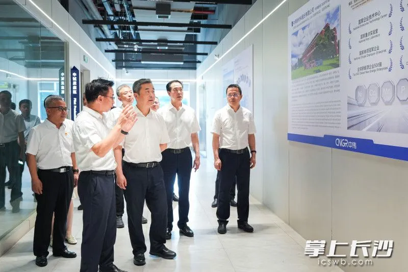 湖南省副省长、长沙市委书记陈竞在中伟调研
