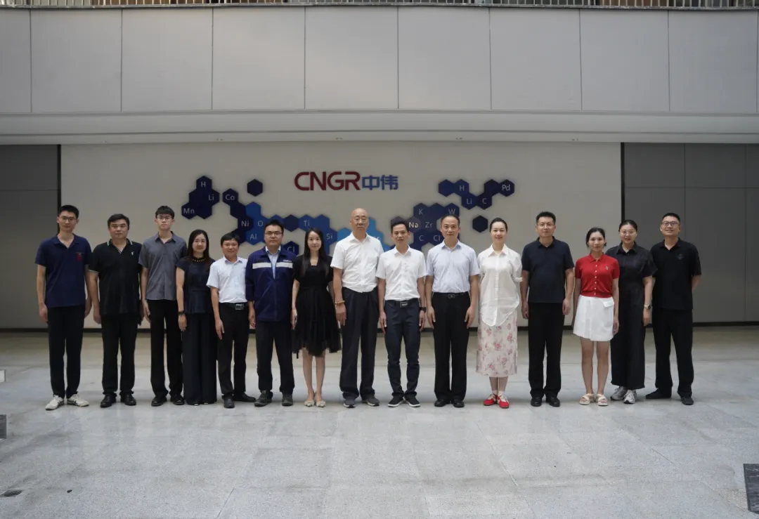 关协联企精准赋能 助力中伟链通全球 ——长沙邮局海关与湖南省报关协会走进中伟集团