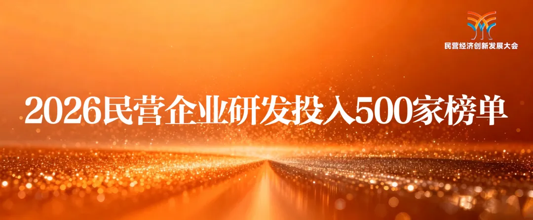 中伟新材入选《2026民营企业研发投入500家》榜单