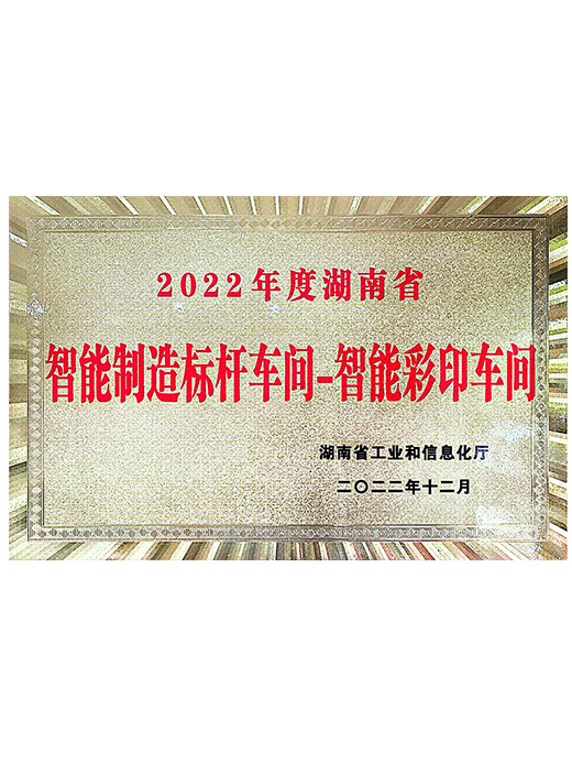 2022湖南省智能制造研讨会——智能彩色印刷研讨会