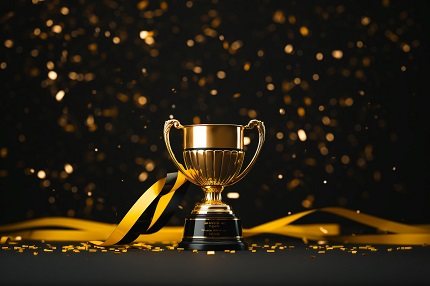 喜报！进芯电子通过ISO 26262 道路车辆功能管理体系认证