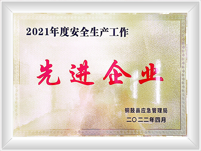 先进企业2021年