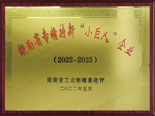 湖南省专精特新“小巨人”企业 湖南省专精特新“小巨人”企业