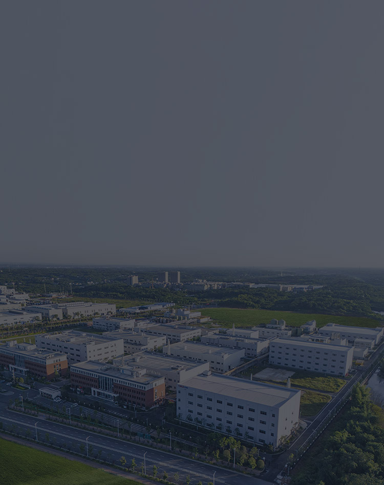 Building an integrated industrial chain
