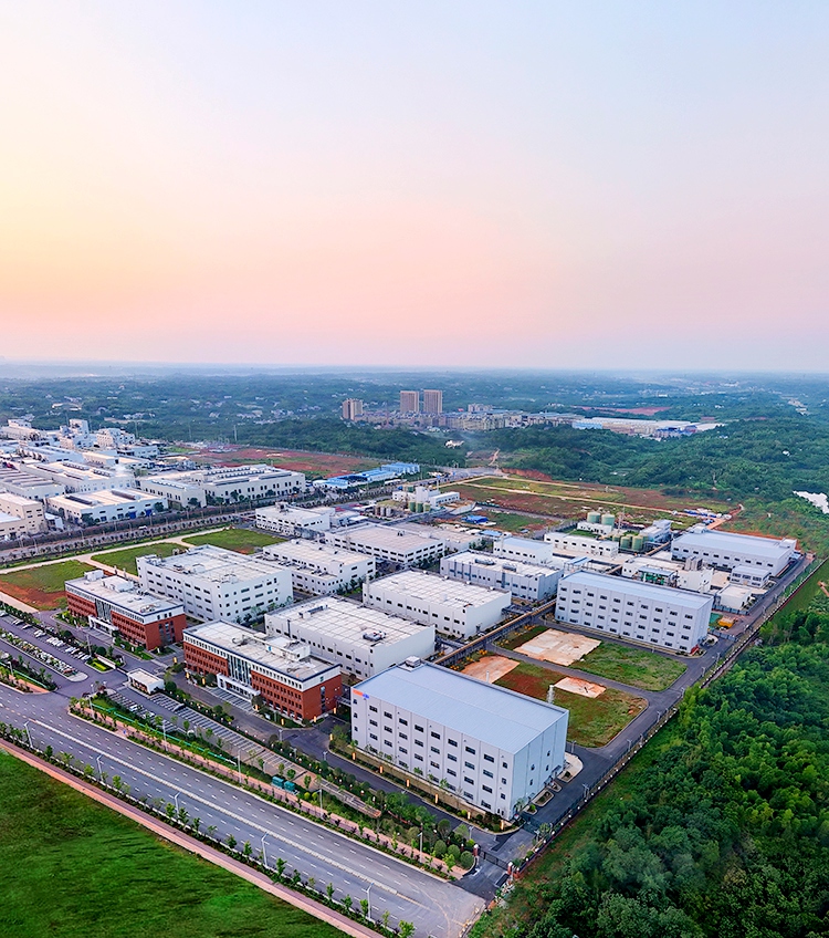 Company Profile